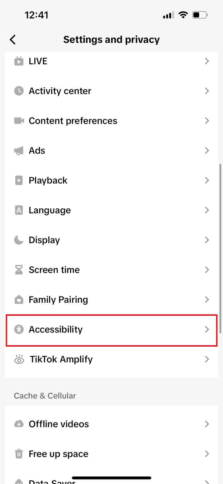 TikTok accessibility settings menu