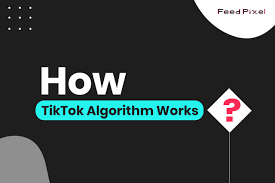 How Does The Tiktok Algorithm Work 2023