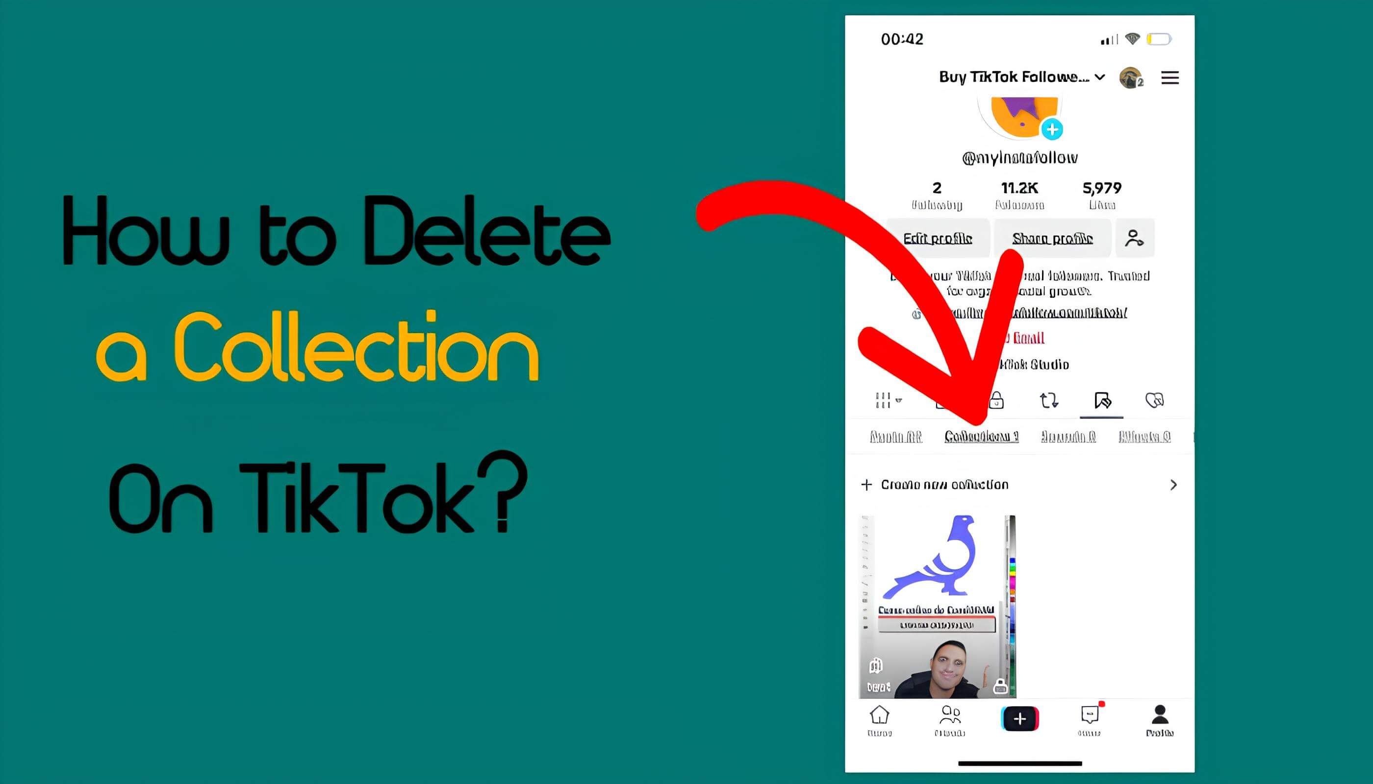 How to Delete a Collection on TikTok?