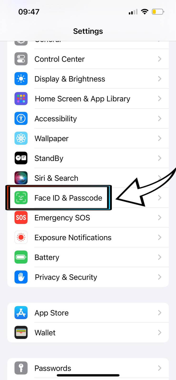 Face ID & Passcode Settings