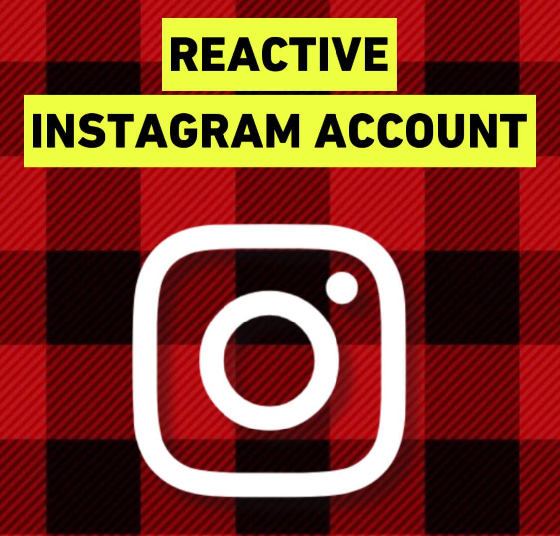 How to Reactivate Your Disabled Instagram Account? (Final Solution)