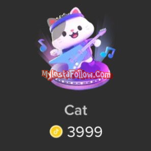 Cat Tiktok Gift