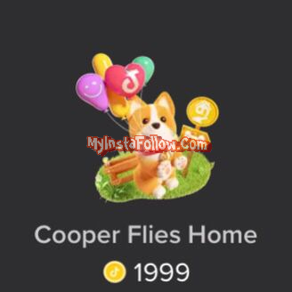 tiktok cooper flies home