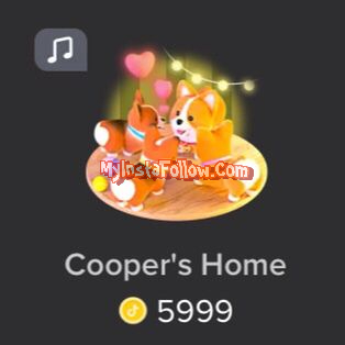 Cooper's Home Tiktok Gift