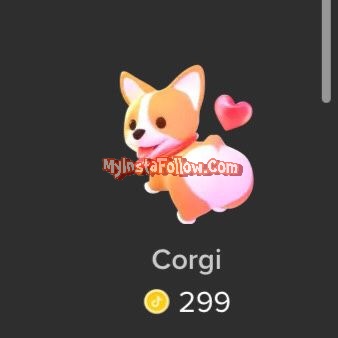 Corgi Tiktok Gift