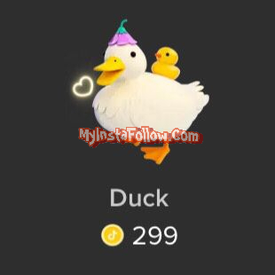 Duck Tiktok Gift