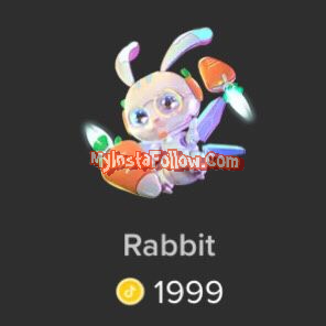 Rabbit Tiktok Gift