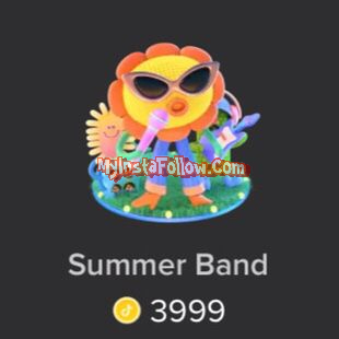 Summer Band Tiktok Gift