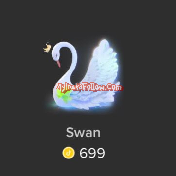 Swan Tiktok Gift