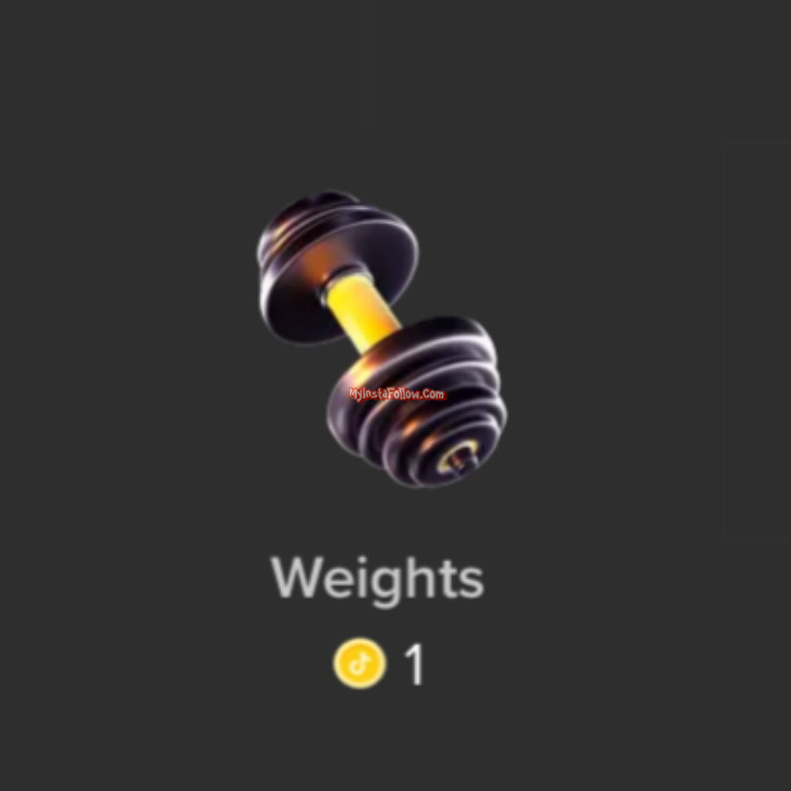 Tiktok Weights gift