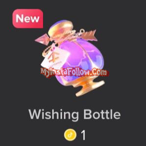 Wishing Bottle Tiktok Gift