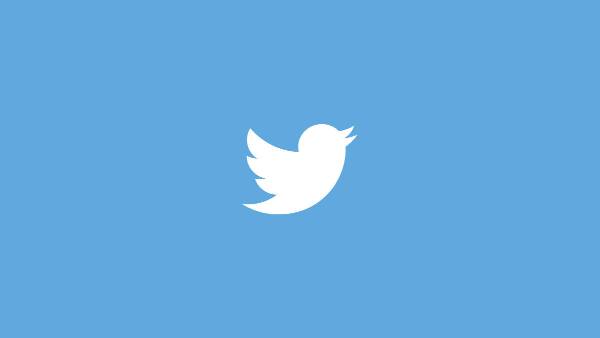 Twitter Bulk Delete Plugin